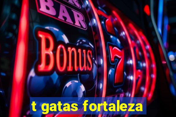 t gatas fortaleza